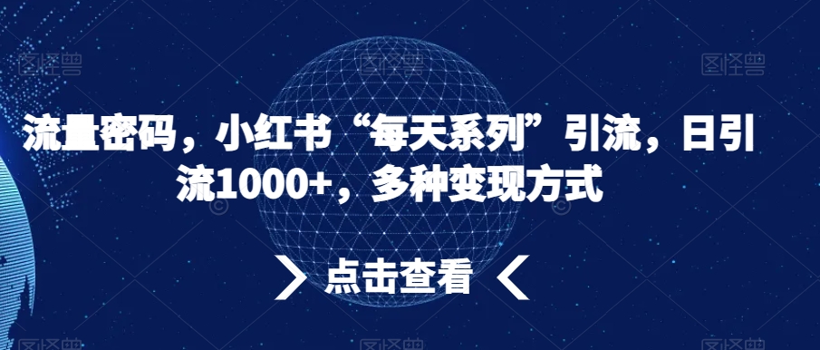 流量密码，小红书“每天系列”引流，日引流1000+，多种变现方式【揭秘】-赚钱驿站