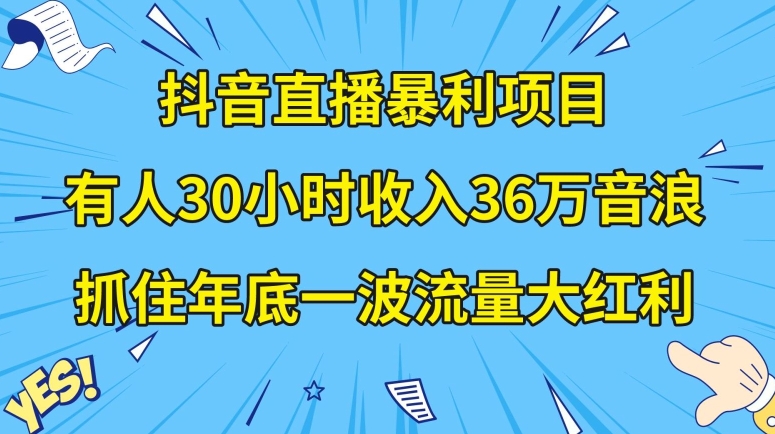 抖音直播暴利项目，有人30小时收入36万音浪，公司宣传片年会视频制作，抓住年底一波流量大红利【揭秘】-赚钱驿站