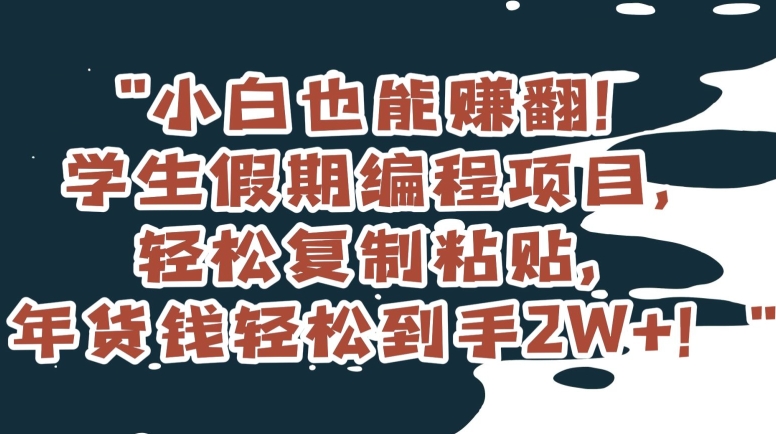 小白也能赚翻！学生假期编程项目，轻松复制粘贴，年货钱轻松到手2W+【揭秘】-赚钱驿站