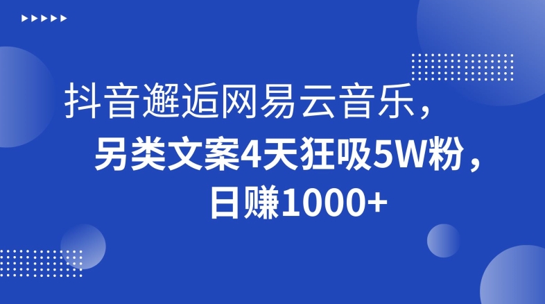 抖音邂逅网易云音乐，另类文案4天狂吸5W粉，日赚1000+【揭秘】-赚钱驿站