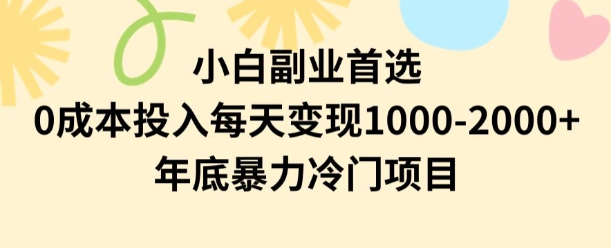 小白副业首选，0成本投入，每天变现1000-2000年底暴力冷门项目【揭秘】-赚钱驿站