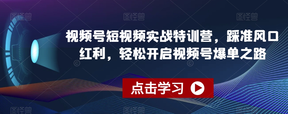 视频号短视频实战特训营，踩准风口红利，轻松开启视频号爆单之路-赚钱驿站