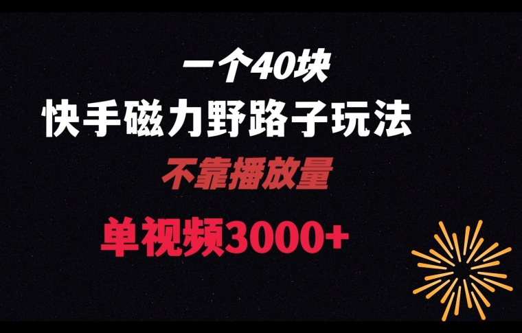 一个40块，快手联合美团磁力新玩法，无视机制野路子玩法，单视频收益4位数【揭秘】-赚钱驿站