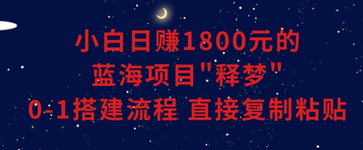 小白能日赚1800元的蓝海项目”释梦”0-1搭建流程可直接复制粘贴长期做【揭秘】-赚钱驿站