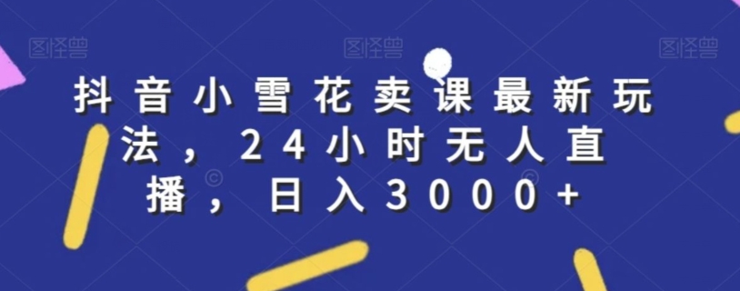 抖音小雪花卖课最新玩法，24小时无人直播，日入3000+【揭秘】-赚钱驿站