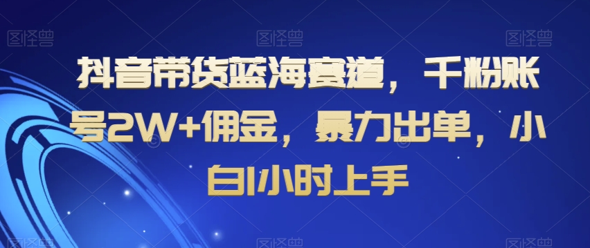 抖音带货蓝海赛道，千粉账号2W+佣金，暴力出单，小白1小时上手【揭秘】-赚钱驿站