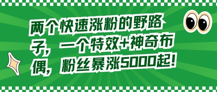 两个快速涨粉的野路子，一个特效+神奇布偶，粉丝暴涨5000起【揭秘】-赚钱驿站