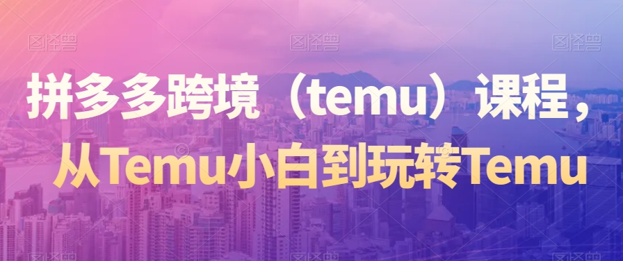 拼多多跨境（temu）课程，从Temu小白到玩转Temu-赚钱驿站