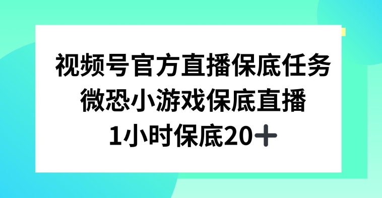 视频号直播任务，微恐小游戏，1小时20+【揭秘】-赚钱驿站