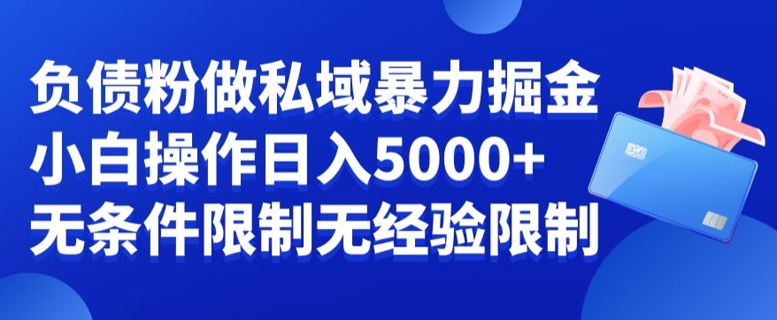 负债粉私域暴力掘金，小白操作入5000，无经验限制，无条件限制【揭秘】-赚钱驿站