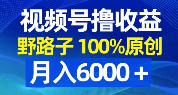 视频号野路子撸收益，100%原创，条条爆款，月入6000＋【揭秘】-赚钱驿站