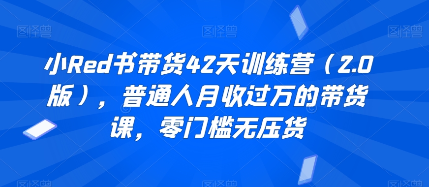 小Red书带货42天训练营（2.0版），普通人月收过万的带货课，零门槛无压货-赚钱驿站