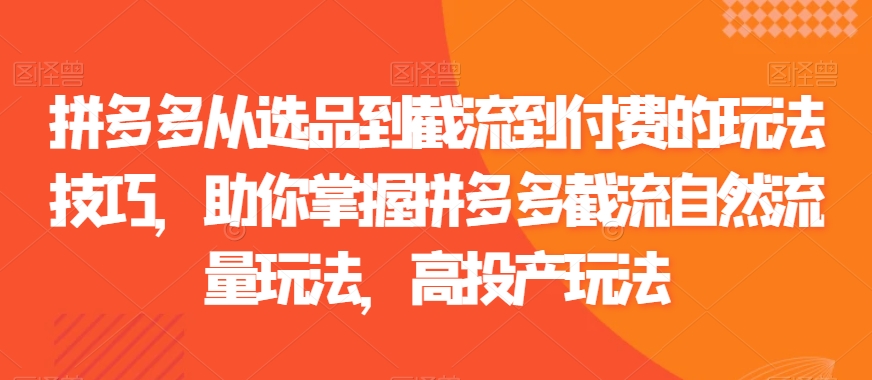 拼多多从选品到截流到付费的玩法技巧，助你掌握拼多多截流自然流量玩法，高投产玩法-赚钱驿站