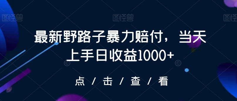 最新野路子暴力赔付，当天上手日收益1000+【仅揭秘】-赚钱驿站