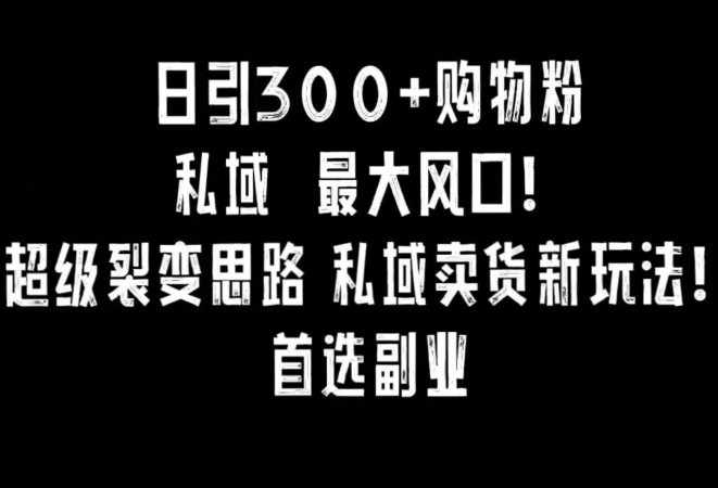 日引300+购物粉，超级裂变思路，私域卖货新玩法，小红书首选副业【揭秘】-赚钱驿站