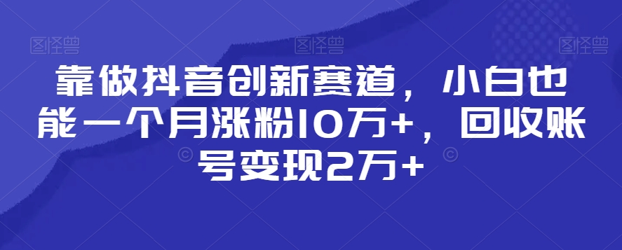 靠做抖音创新赛道，小白也能一个月涨粉10万+，回收账号变现2万+【揭秘】-赚钱驿站