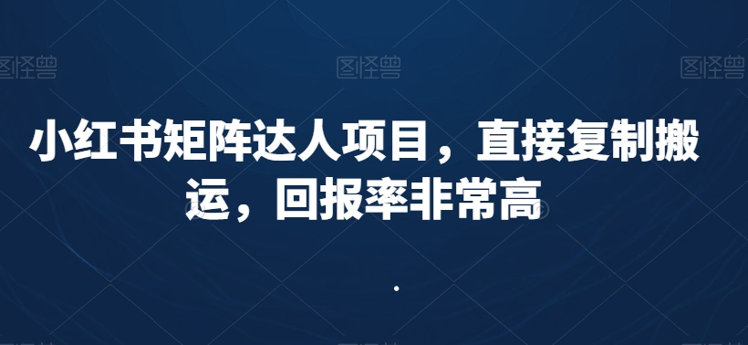 小红书矩阵达人项目，直接复制搬运，回报率非常高-赚钱驿站