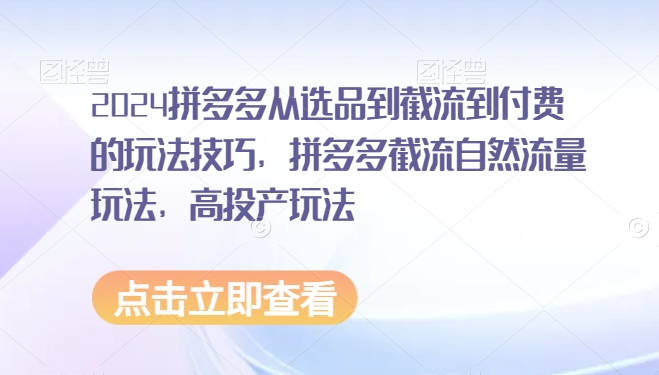 2024拼多多从选品到截流到付费的玩法技巧，拼多多截流自然流量玩法，高投产玩法-赚钱驿站