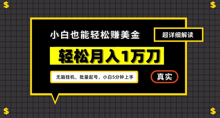 谷歌看广告撸美金2.0，无脑挂机，多号操作，月入1万刀【揭秘】-赚钱驿站