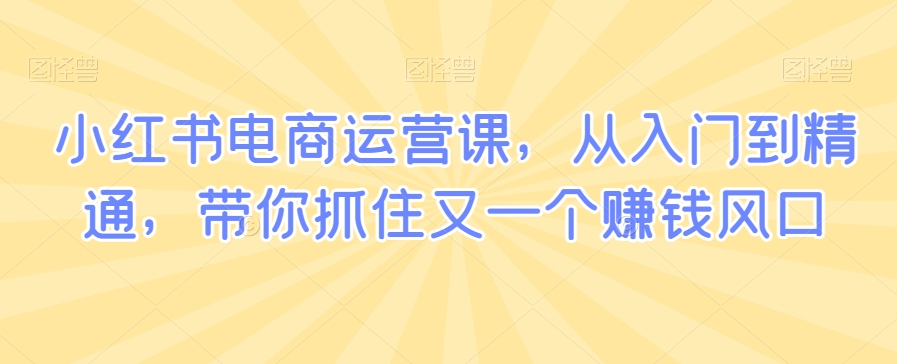 小红书电商运营课，从入门到精通，带你抓住又一个赚钱风口-赚钱驿站