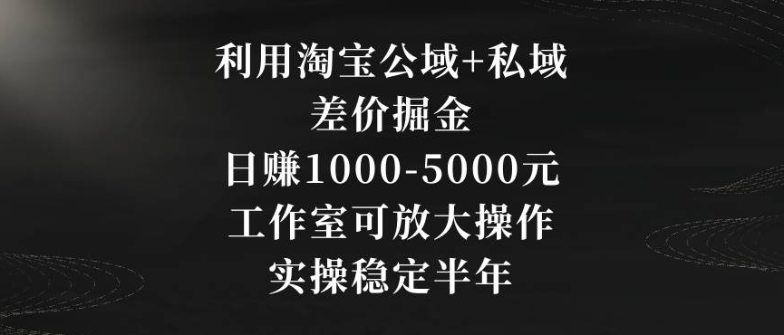 利用淘宝公域+私域差价掘金，日赚1000-5000元，工作室可放大操作，实操稳定半年【揭秘】-赚钱驿站