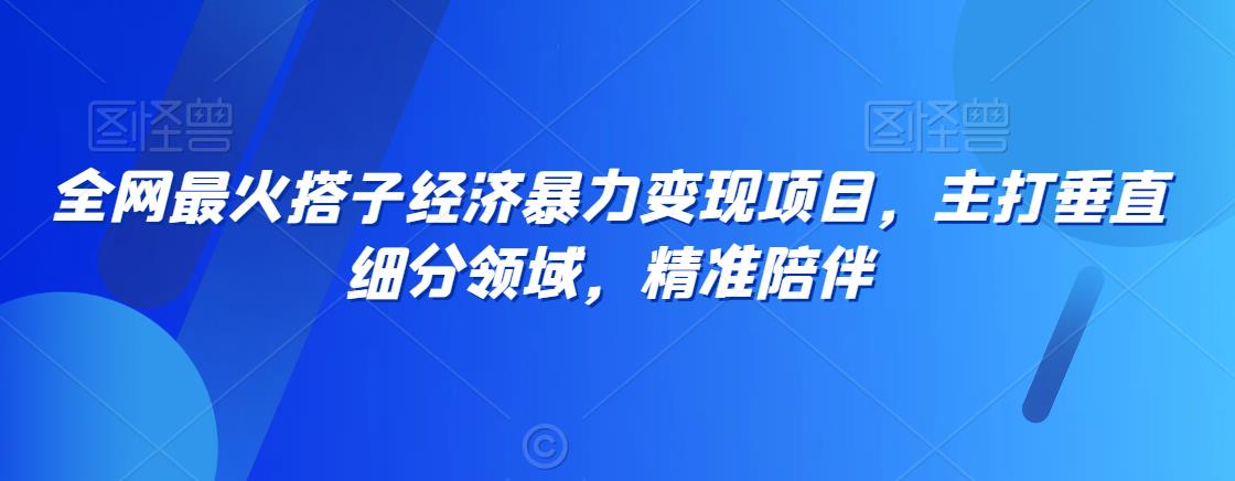 全网最火搭子经济暴力变现项目，主打垂直细分领域，精准陪伴【揭秘】-赚钱驿站