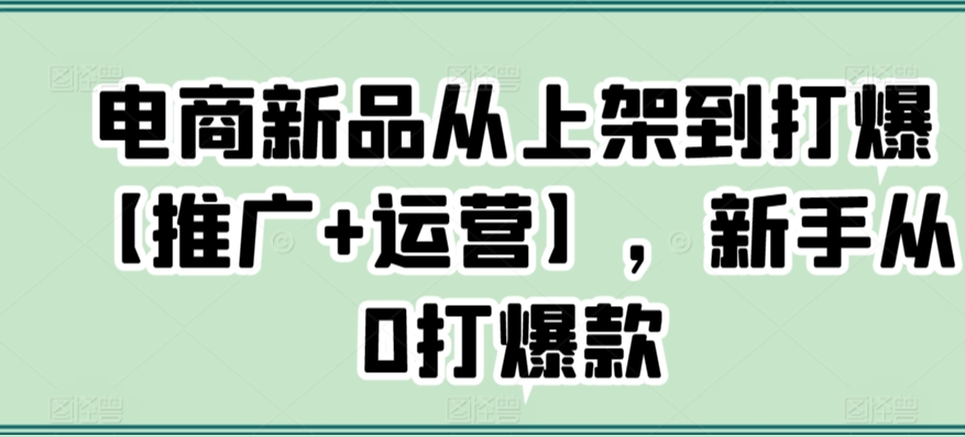 电商新品从上架到打爆【推广+运营】，新手从0打爆款-赚钱驿站