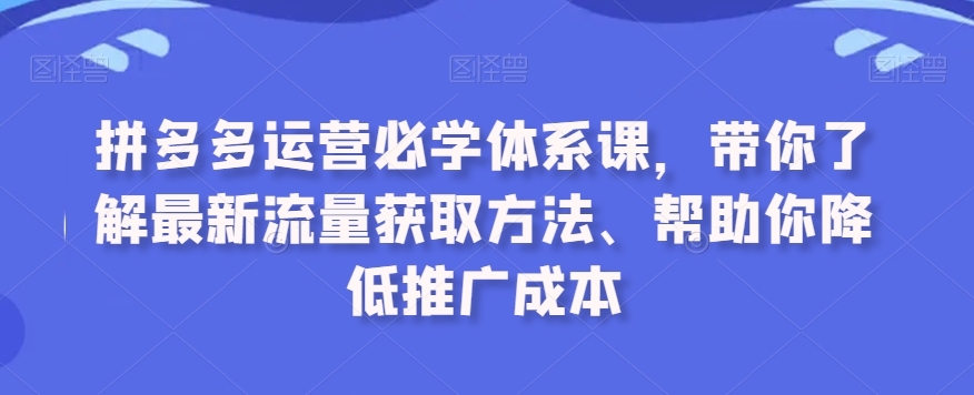 拼多多运营必学体系课，带你了解最新流量获取方法、帮助你降低推广成本-赚钱驿站