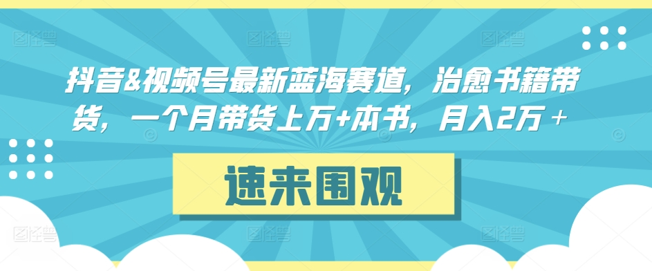 抖音&视频号最新蓝海赛道，治愈书籍带货，一个月带货上万+本书，月入2万＋【揭秘】-赚钱驿站