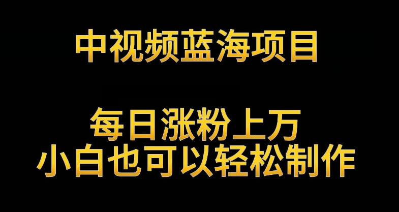 中视频蓝海项目，解读英雄人物生平，每日涨粉上万，小白也可以轻松制作，月入过万不是梦【揭秘】-赚钱驿站