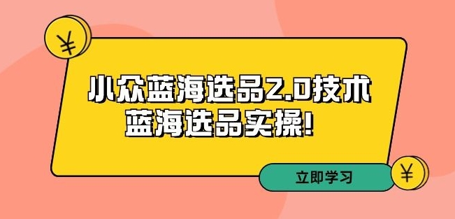 拼多多培训第33期：小众蓝海选品2.0技术-蓝海选品实操！-赚钱驿站