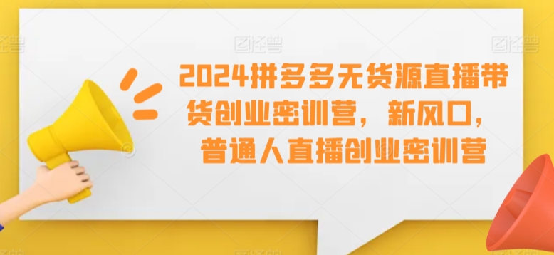 2024拼多多无货源直播带货创业密训营，新风口，普通人直播创业密训营-赚钱驿站