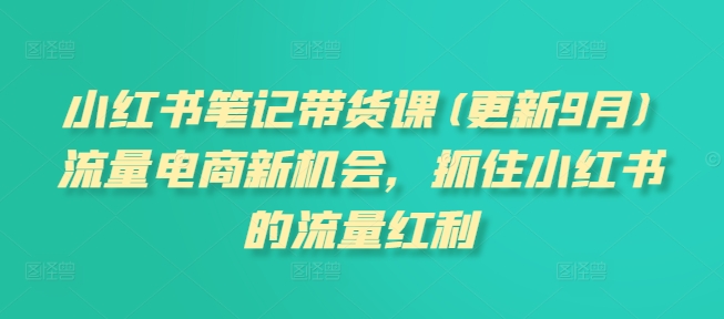 小红书笔记带货课(更新9月)流量电商新机会，抓住小红书的流量红利-赚钱驿站