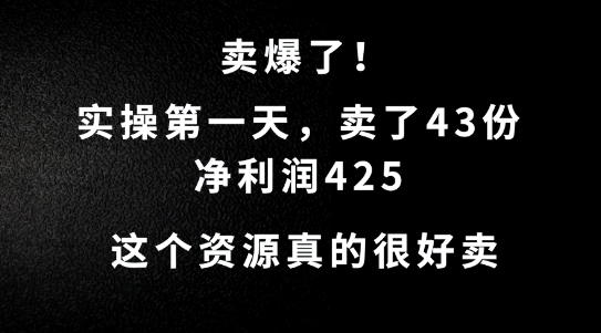 这个资源，需求很大，实操第一天卖了43份，净利润425【揭秘】-赚钱驿站