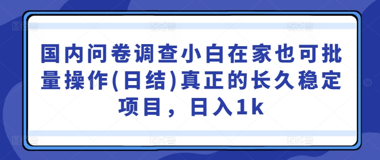 国内问卷调查小白在家也可批量操作(日结)真正的长久稳定项目，日入1k【揭秘】-赚钱驿站