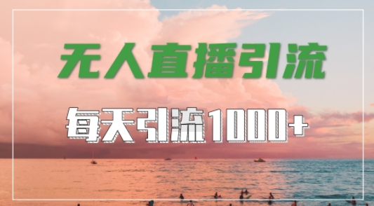 抖音快手视频号全平台通用，无人直播引流法，超暴力引流1000+高质量精准创业粉【揭秘】-赚钱驿站