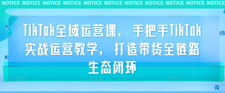 TikTok全域运营课，手把手TikTok实战运营教学，打造带货全链路生态闭环-赚钱驿站