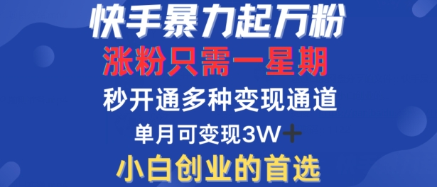 快手暴力起万粉，涨粉只需一星期，多种变现模式，直接秒开万合，单月变现过W【揭秘】-赚钱驿站