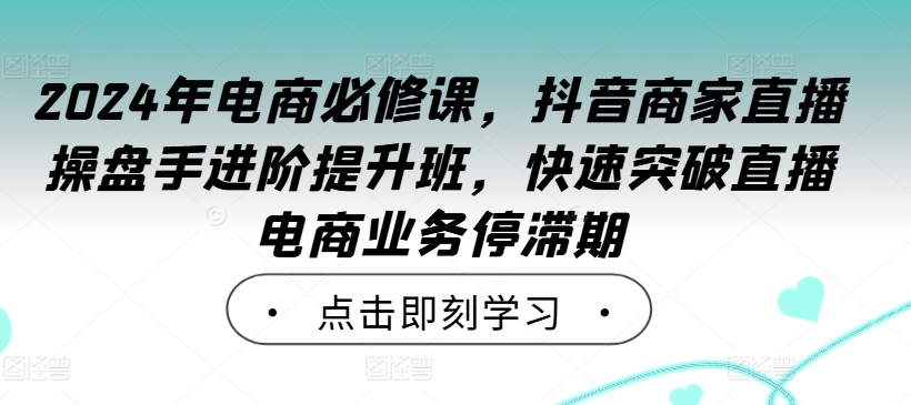 2024年电商必修课，抖音商家直播操盘手进阶提升班，快速突破直播电商业务停滞期-赚钱驿站