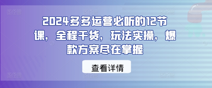 2024多多运营必听的12节课，全程干货，玩法实操，爆款方案尽在掌握-赚钱驿站