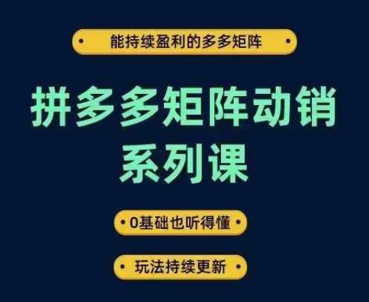 拼多多矩阵动销系列课，能持续盈利的多多矩阵，0基础也听得懂，玩法持续更新-赚钱驿站