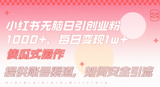 小红书无脑每日引流创业粉500+，小白每天只花半小时，躺赚长尾收益【揭秘】-赚钱驿站