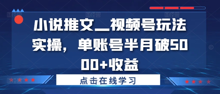 小说推文—视频号玩法实操，单账号半月破5000+收益-赚钱驿站