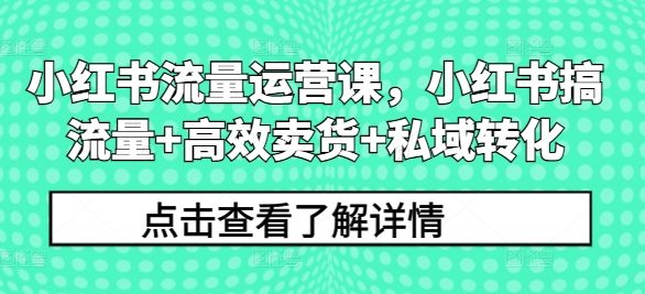 小红书流量运营课，小红书搞流量+高效卖货+私域转化-赚钱驿站