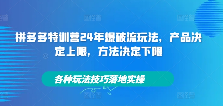 拼多多特训营24年爆破流玩法，产品决定上限，方法决定下限，各种玩法技巧落地实操-赚钱驿站