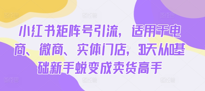 小红书矩阵号引流，适用于电商、微商、实体门店，30天从0基础新手蜕变成卖货高手-赚钱驿站