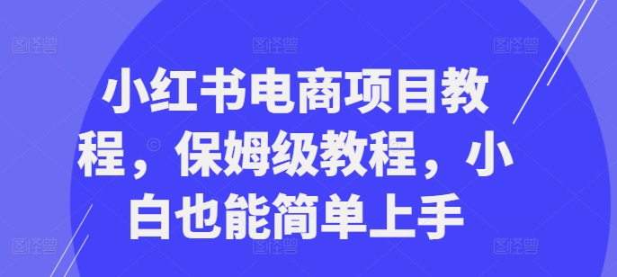 小红书电商项目教程，保姆级教程，小白也能简单上手-赚钱驿站