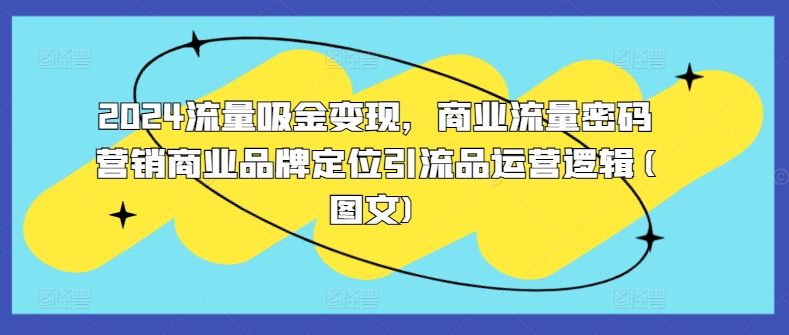 2024流量吸金变现，商业流量密码营销商业品牌定位引流品运营逻辑(图文)-赚钱驿站