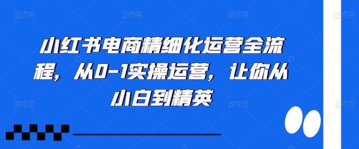 小红书电商精细化运营全流程，从0-1实操运营，让你从小白到精英-赚钱驿站