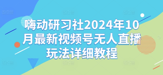 嗨动研习社2024年10月最新视频号无人直播玩法详细教程-赚钱驿站